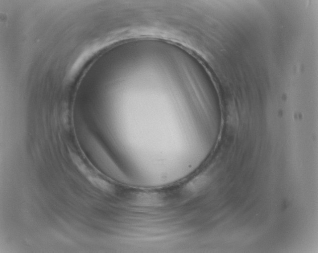 X0000060741499200511241625