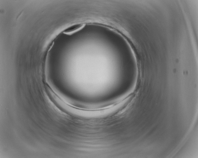 X0000060741500200511241625