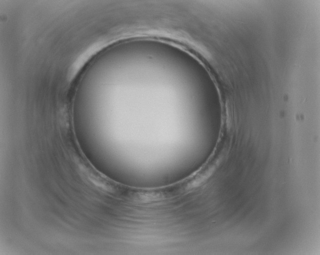 X0000060741501200511241625