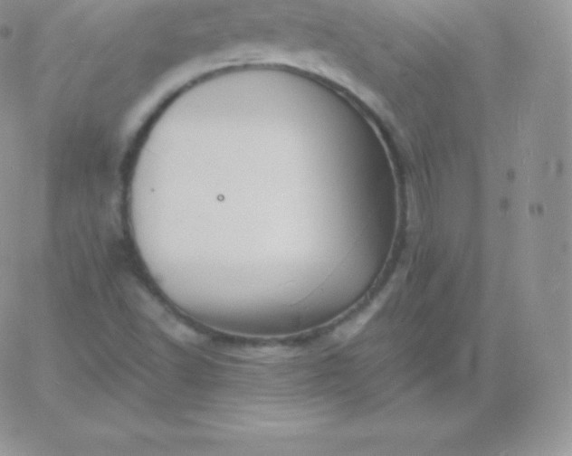 X0000060741502200511241625