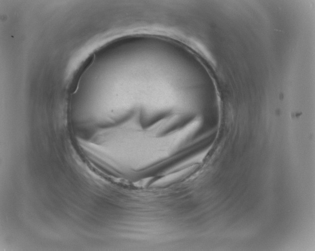 X0000060741504200511241625