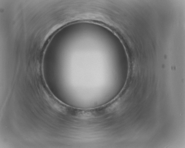 X0000060741505200511241625