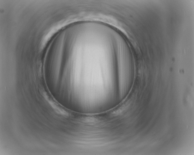 X0000060741507200511241625