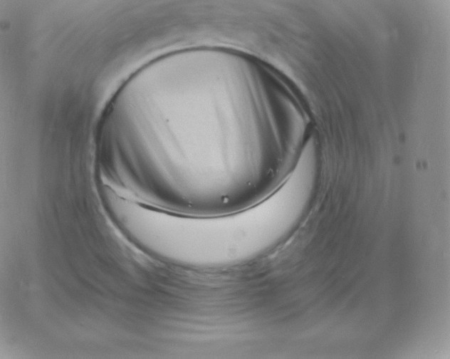 X0000060741508200511241625