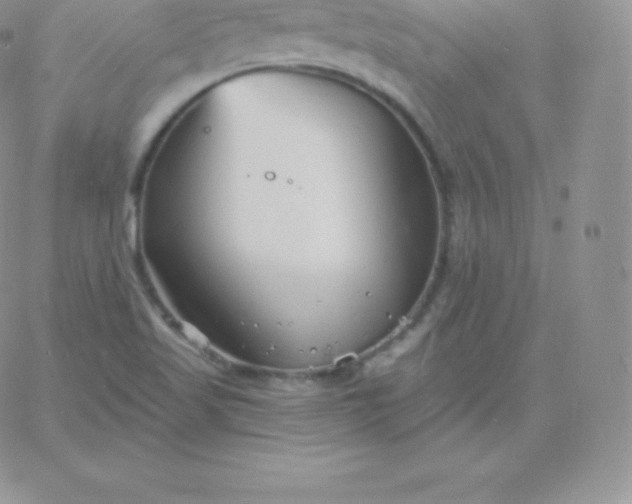 X0000060741509200511241625