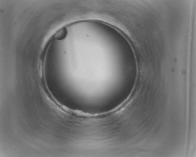 X0000060741510200511241625