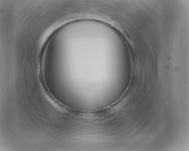 X0000060741511200511241625