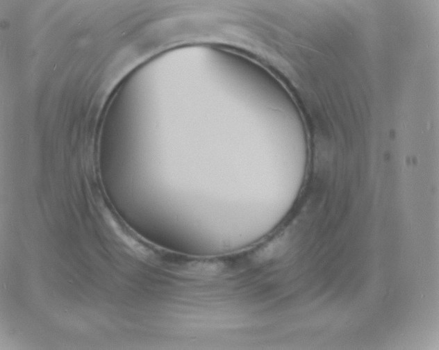 X0000060741513200511241625