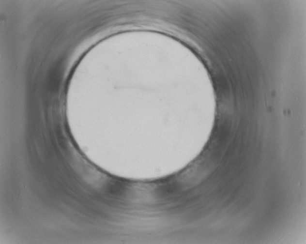 X0000060741514200511241625