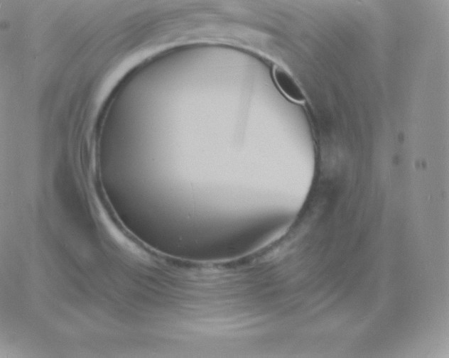 X0000060741515200511241625