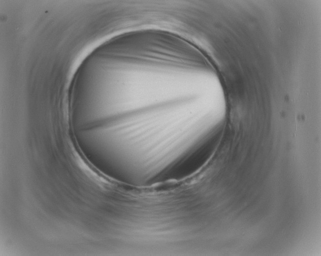 X0000060741516200511241625