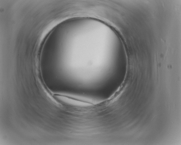 X0000060741517200511241625