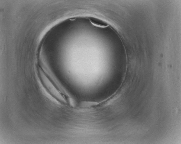 X0000060741518200511241625