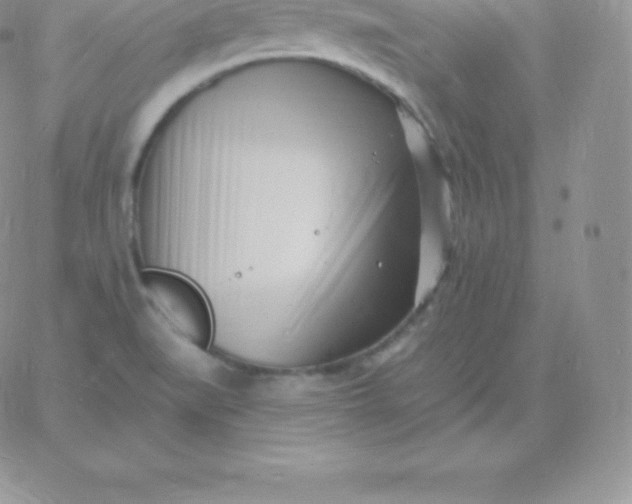 X0000060741519200511241625