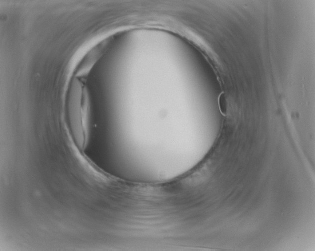 X0000060741520200511241625