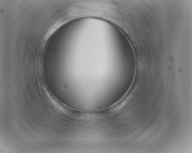 X0000060741521200511241625