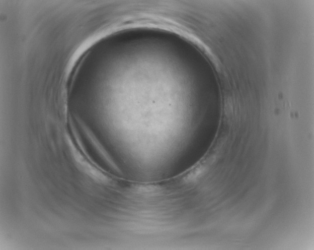 X0000060741522200511241625