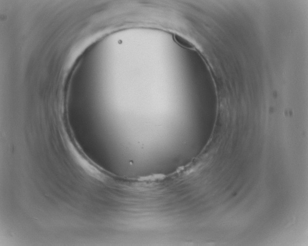 X0000060741523200511241625