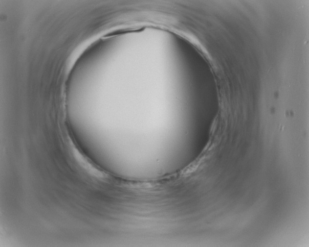 X0000060741524200511241625