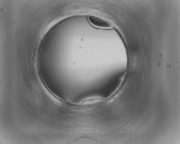 X0000060741525200511241625