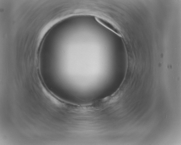 X0000060741527200511241625