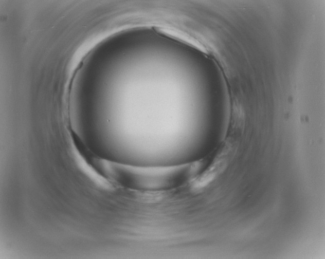 X0000060741528200511241625