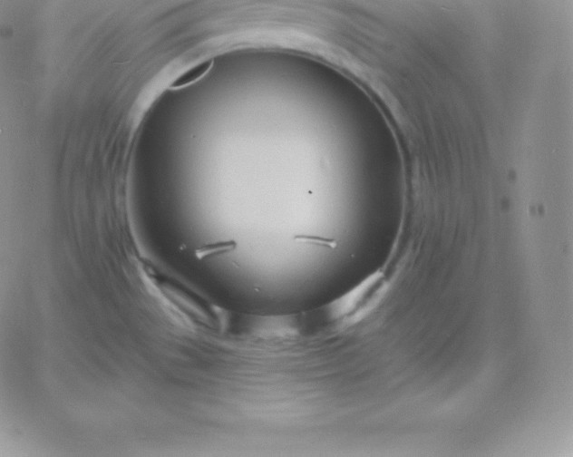 X0000060741529200511241625