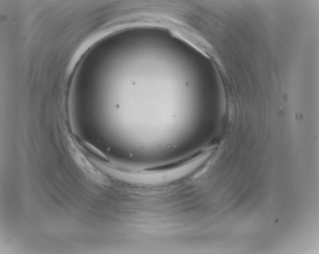 X0000060741530200511241625