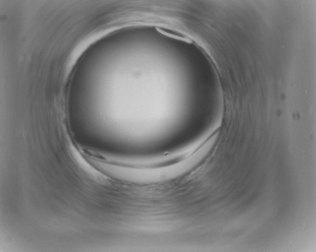 X0000060741531200511241625