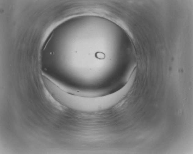 X0000060741532200511241625