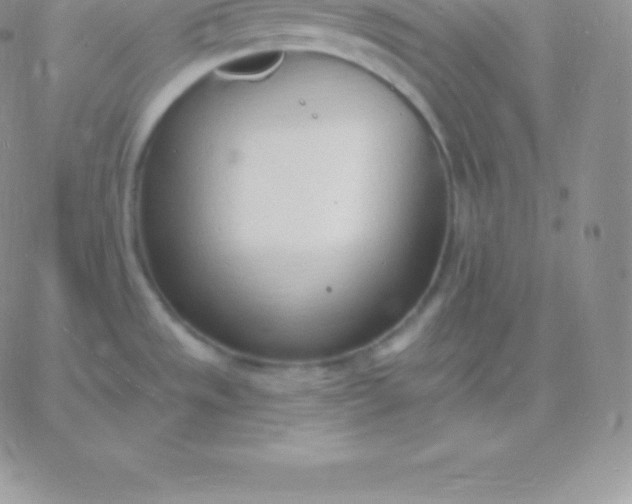 X0000060741533200511241625