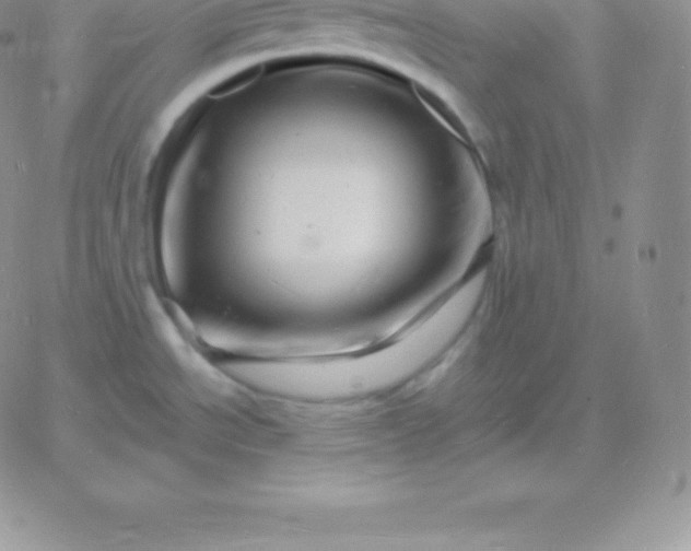 X0000060741534200511241625