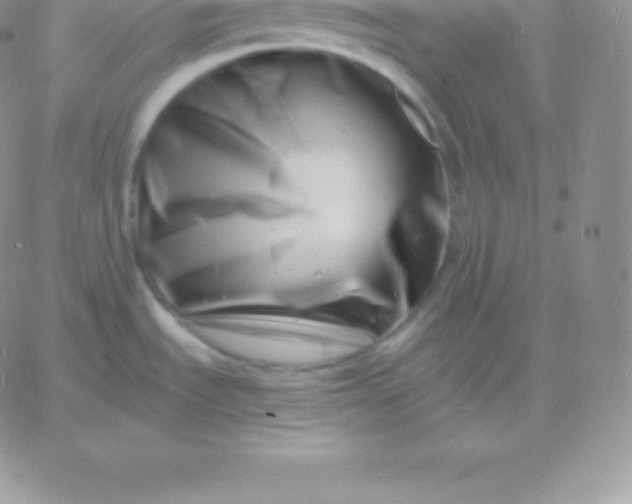 X0000060741535200511241625