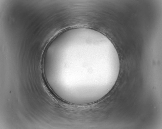 X0000060740002200512011432