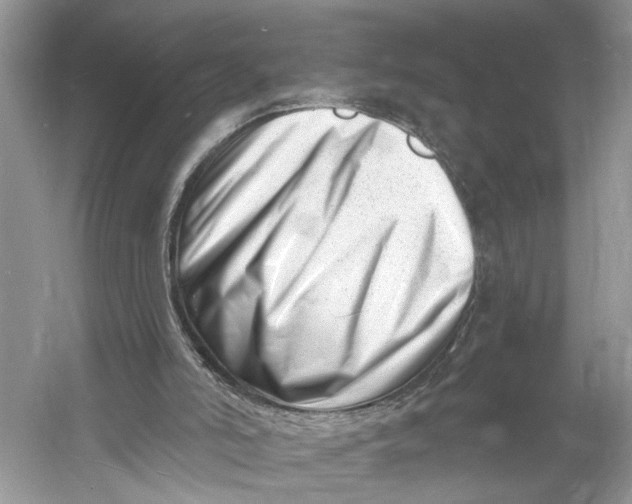 X0000060740006200512011432