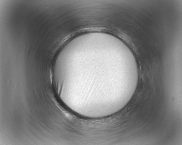 X0000060740013200512011432