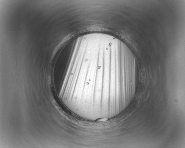 X0000060740015200512011432