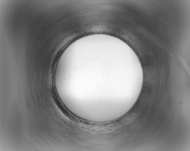 X0000060740016200512011432