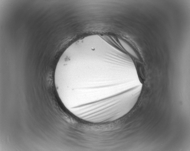 X0000060740017200512011432