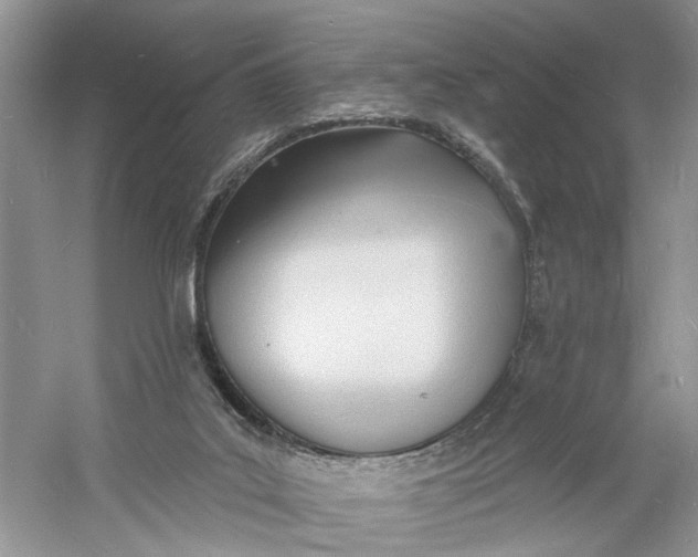 X0000060740019200512011432