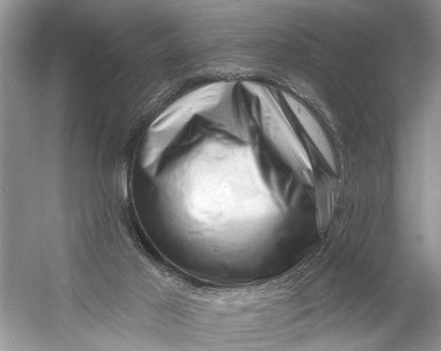 X0000060740021200512011432