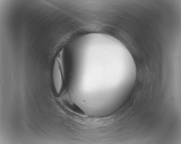 X0000060740023200512011432