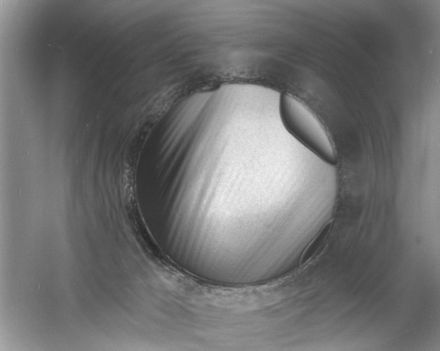 X0000060740029200512011432