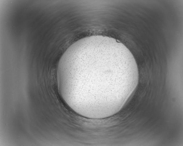 X0000060740034200512011432