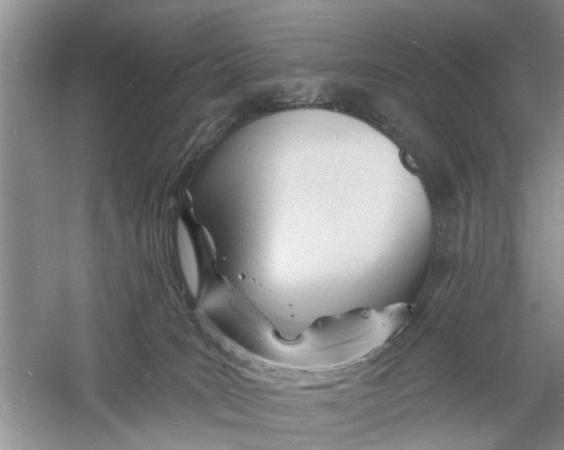 X0000060740035200512011432