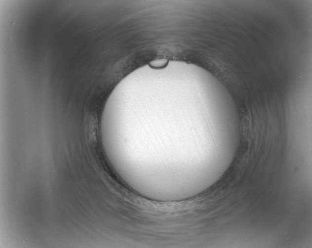 X0000060740038200512011432