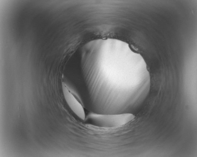 X0000060740039200512011432