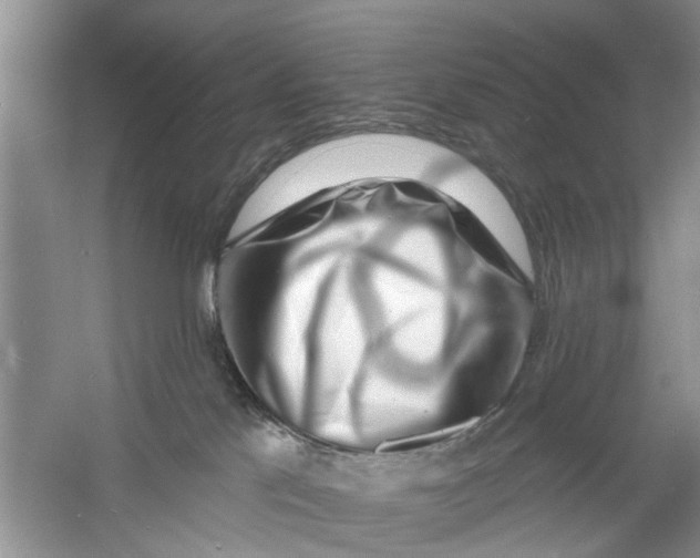 X0000060740041200512011432