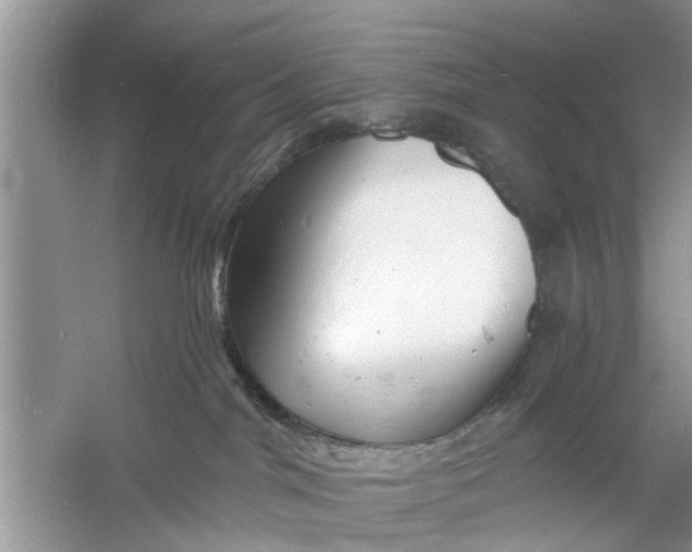 X0000060740044200512011431