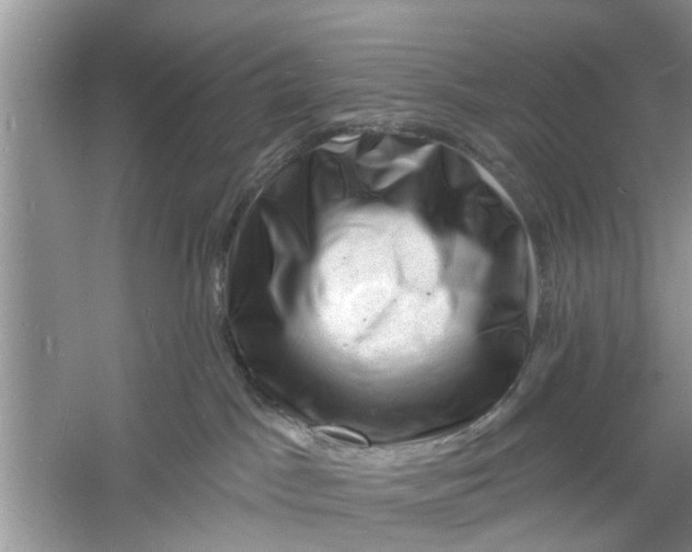 X0000060740045200512011431